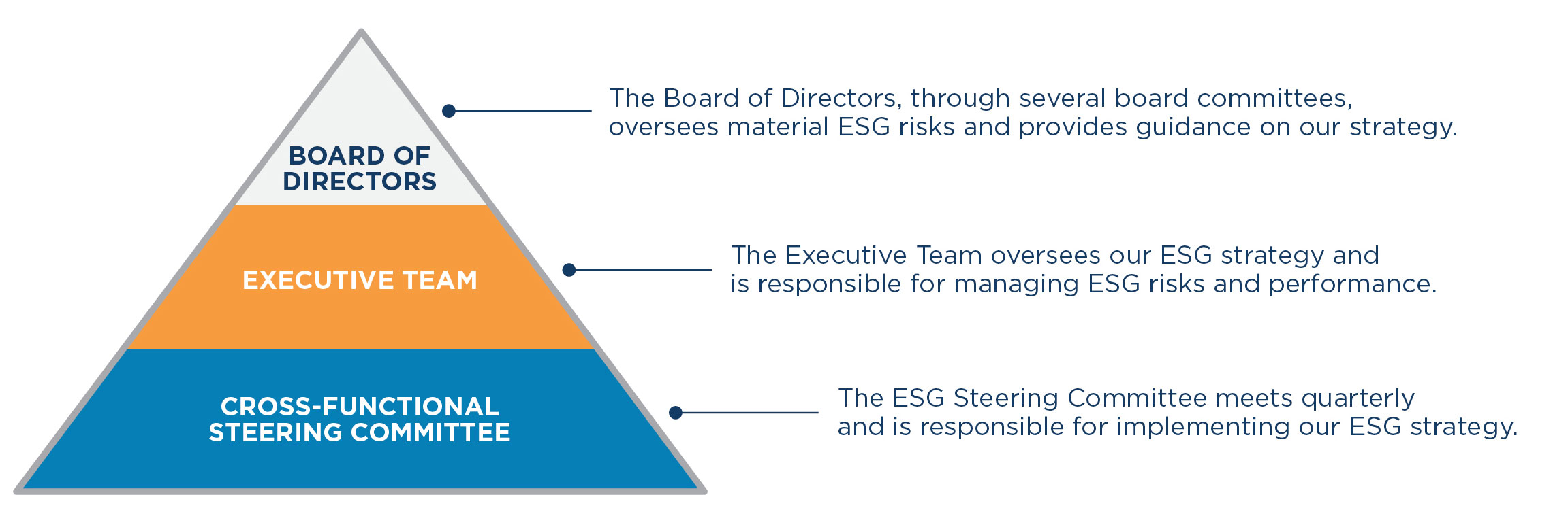 Pyramid diagram with board of Directors at the top, executive team in the middle, and cross-functional steering committee on the bottom.